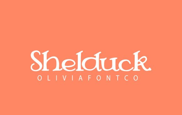Shelduck Font Review
